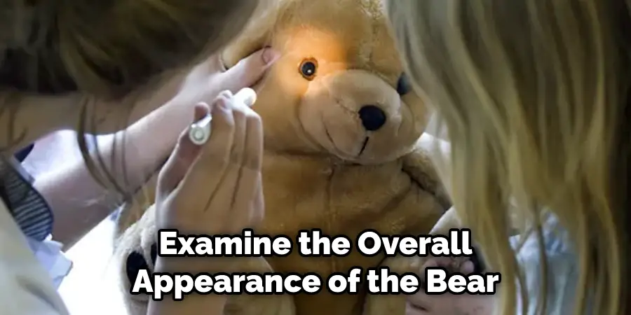 Examine the Overall Appearance of the Bear