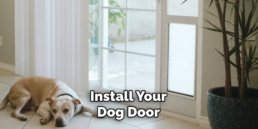 Install Your Dog Door