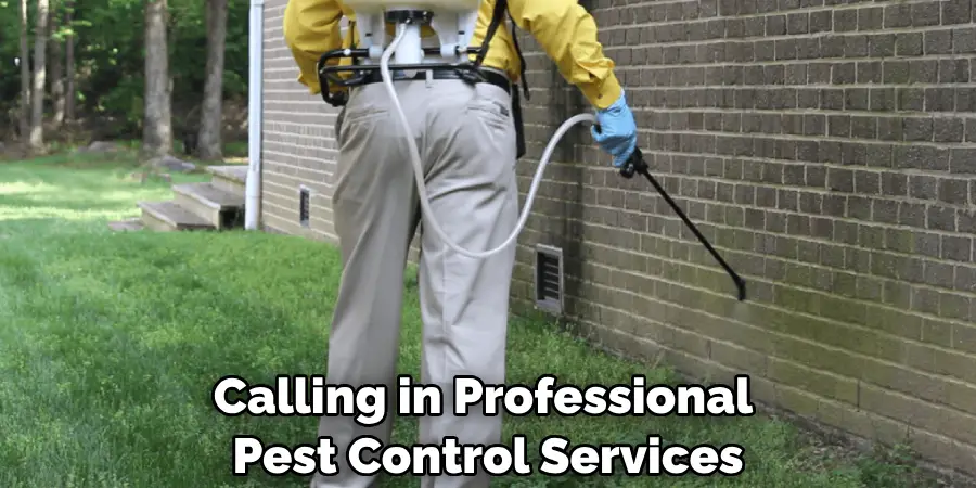 Calling in Professional Pest Control Services
