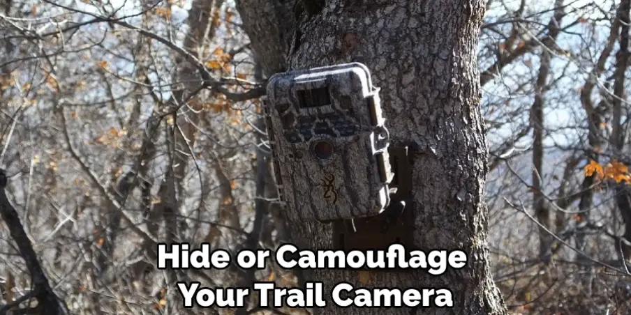 Hide or Camouflage Your Trail Camera