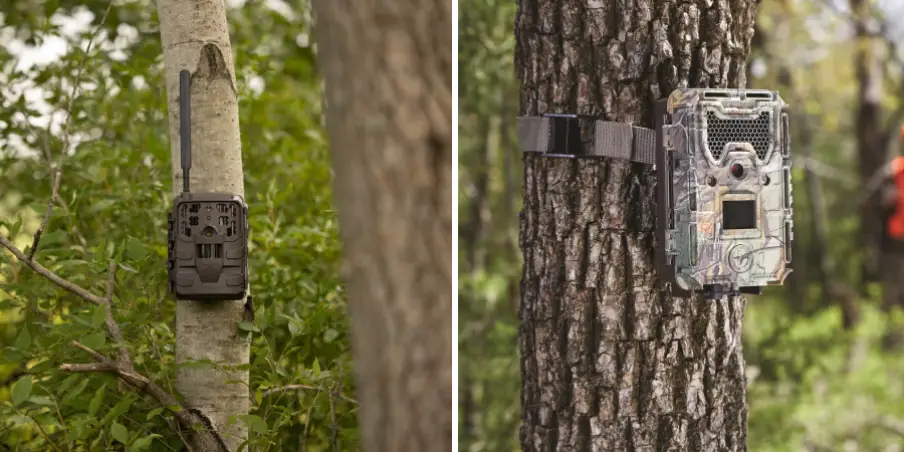 How to Find Trail Cameras on Your Property