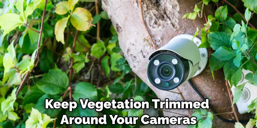 Keep Vegetation Trimmed Around Your Cameras