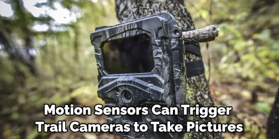 Motion Sensors Can Trigger Trail Cameras to Take Pictures