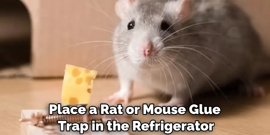 Place a Rat or Mouse Glue Trap in the Refrigerator