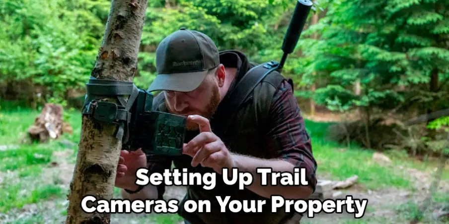 Setting Up Trail Cameras on Your Property