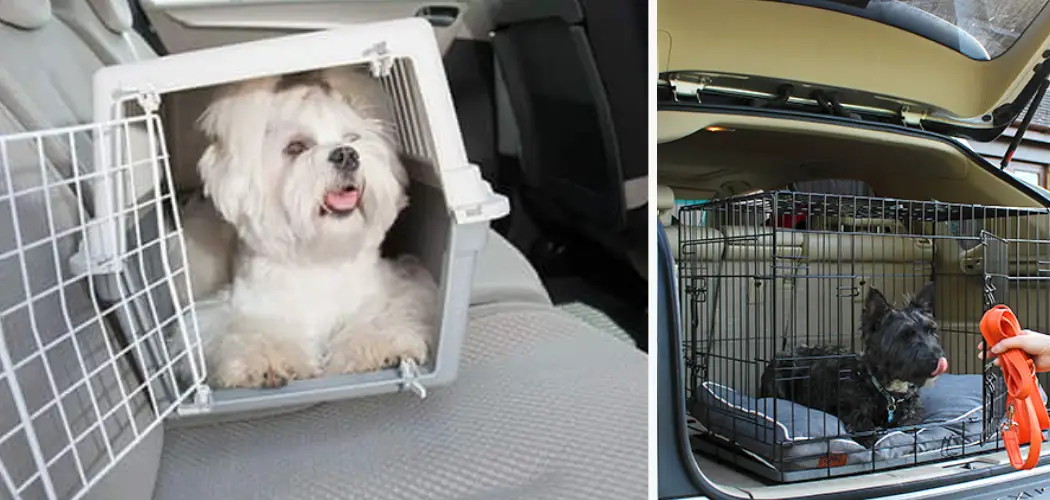 How to Secure a Dog Crate in A Car