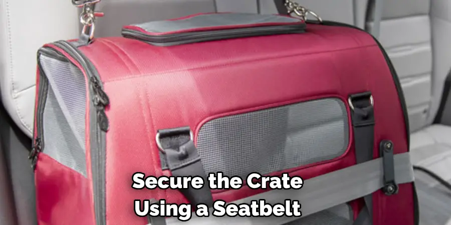 Secure the Crate 
Using a Seatbelt