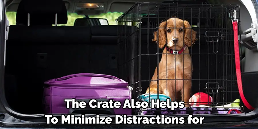 The Crate Also Helps 
To Minimize Distractions for