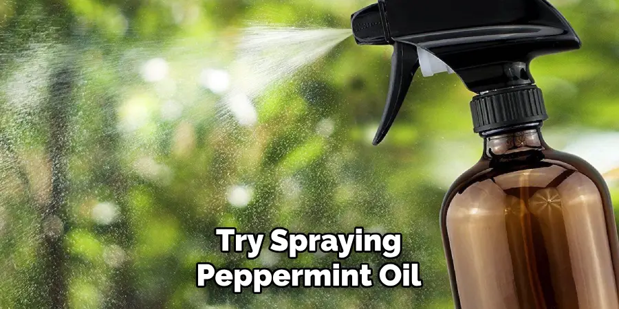 Try Spraying Peppermint Oil