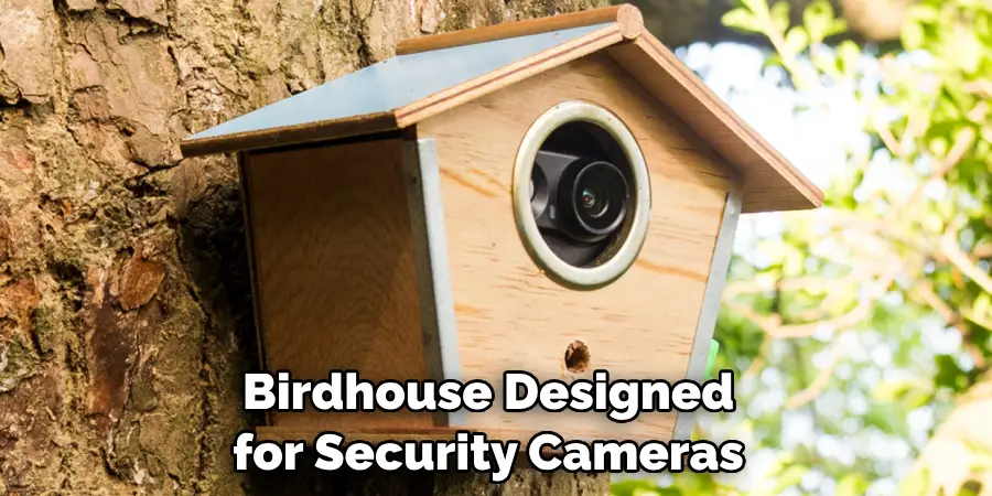 Birdhouse Designed
for Security Cameras