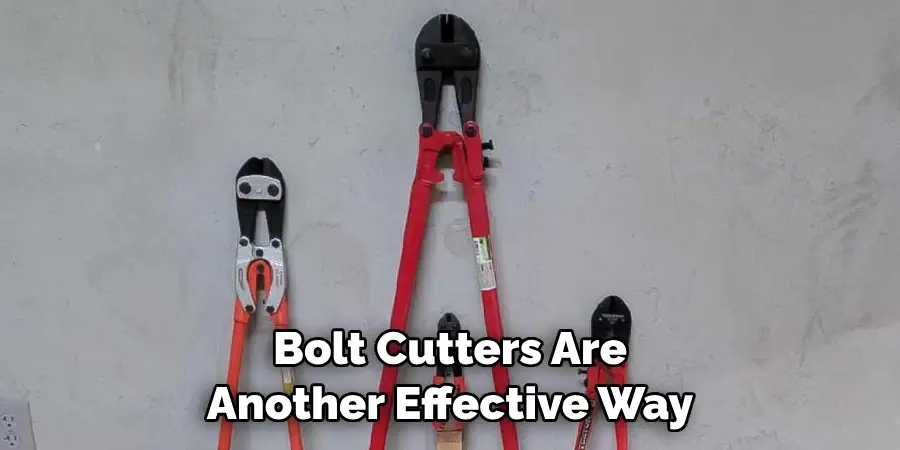 Bolt Cutters Are Another Effective Way