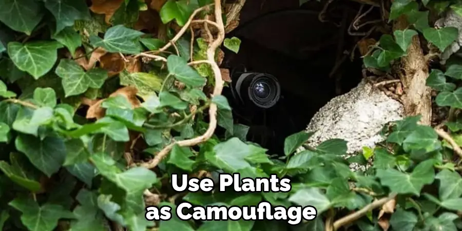 Use Plants as Camouflage