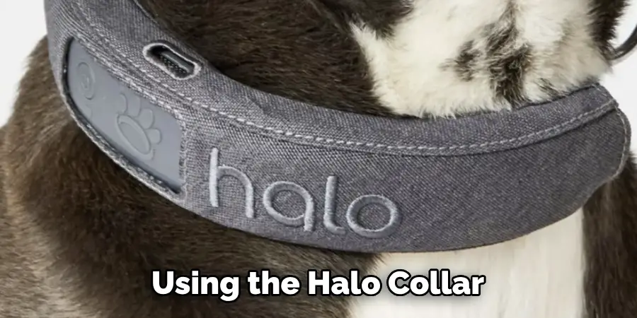 Using the Halo Collar