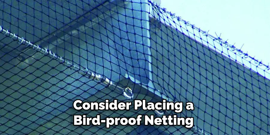 Consider Placing a Bird-proof Netting