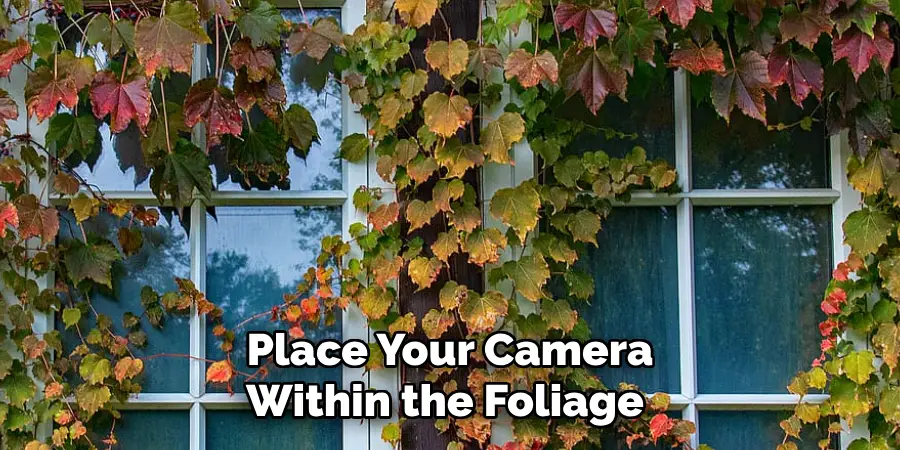 Place Your Camera Within the Foliage 