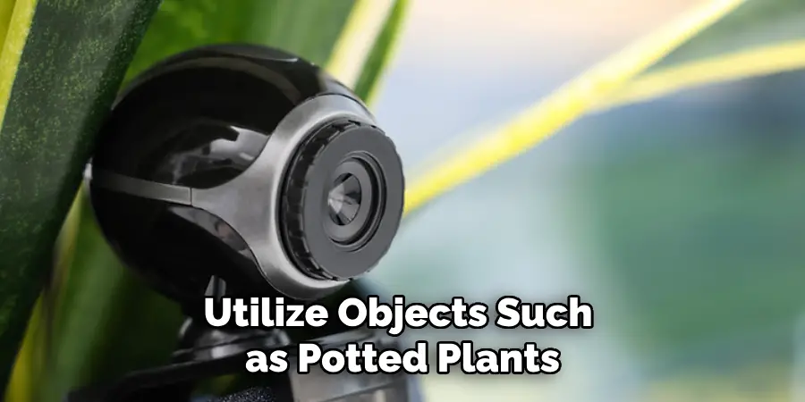 Utilize Objects Such 
as Potted Plants