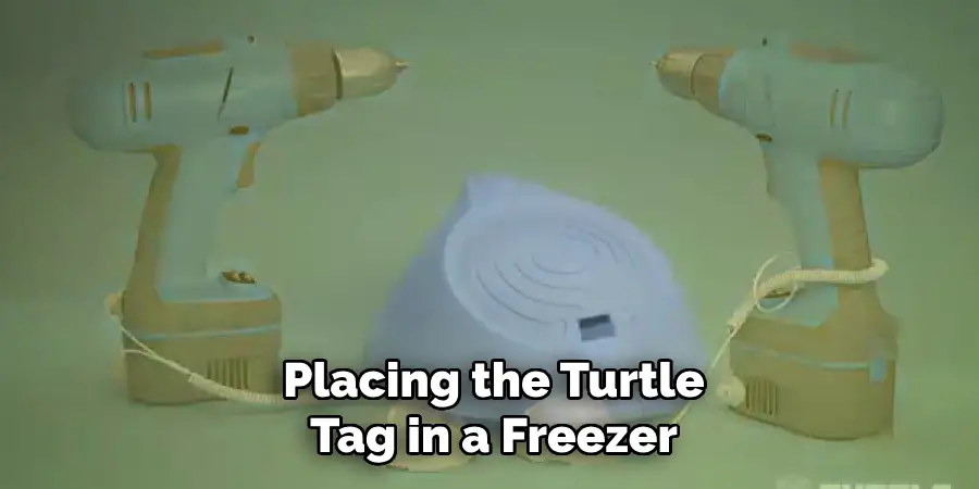 Placing the Turtle Tag in a Freezer