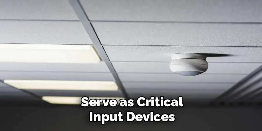 Serve as Critical
Input Devices
