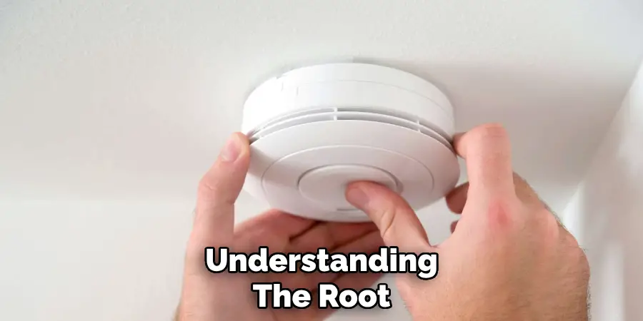 Understanding
The Root 